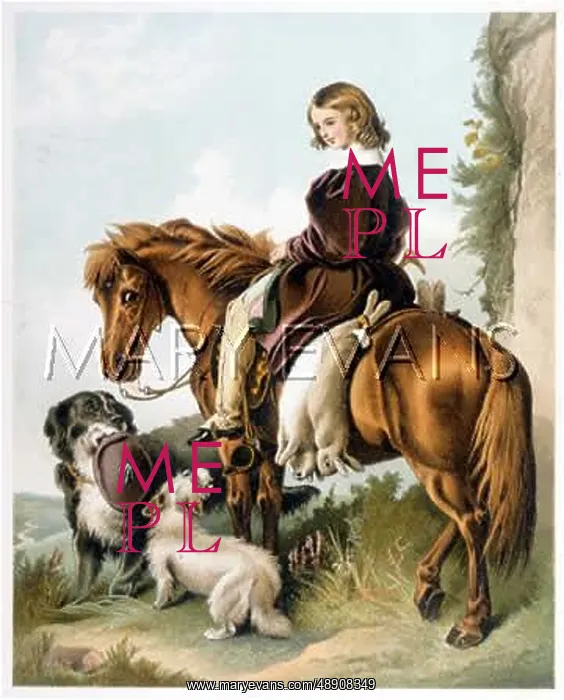 : BOY RIDING PONY 19C : BOY RIDING PONY 19C