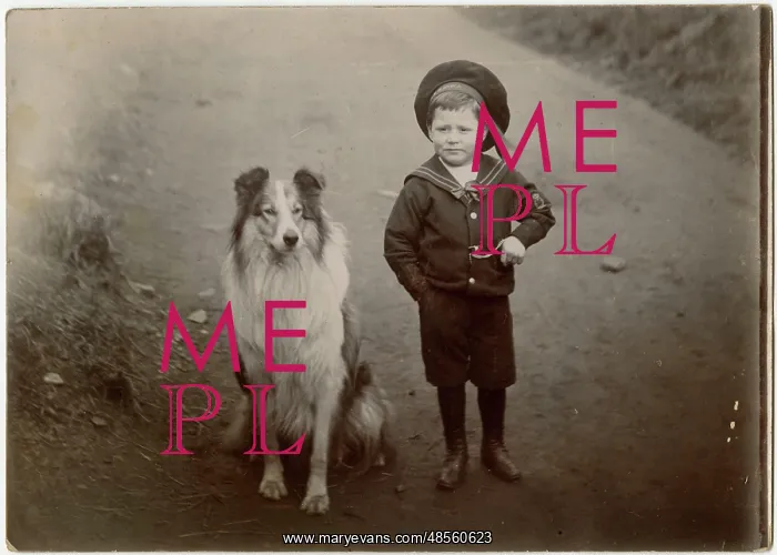  : Boy in a sailor suit with a collie dog