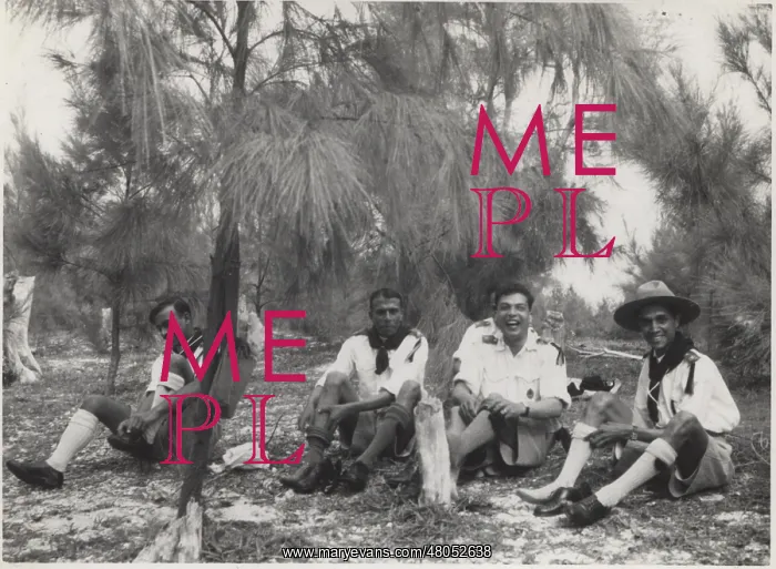  : Boy scouts relaxing under a tree, Mauritius