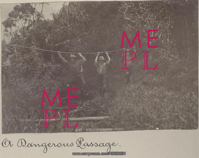 : Boy scouts on a rope bridge, Mauritius : Boy scouts on a rope bridge, Mauritius