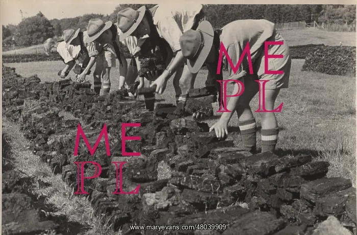 : Boy scouts turning peat, Denmark : Boy scouts turning peat, Denmark