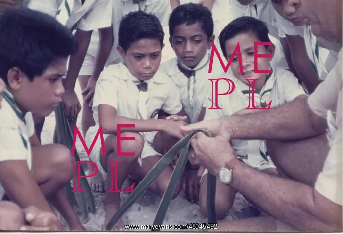 : Boy scouts on Tuvalu, Gilbert Islands, Pacific : Boy scouts on Tuvalu, Gilbert Islands, Pacific