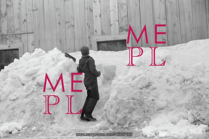 : Boy - Shoveling - Snow - Winter : Boy - Shoveling - Snow - Winter
