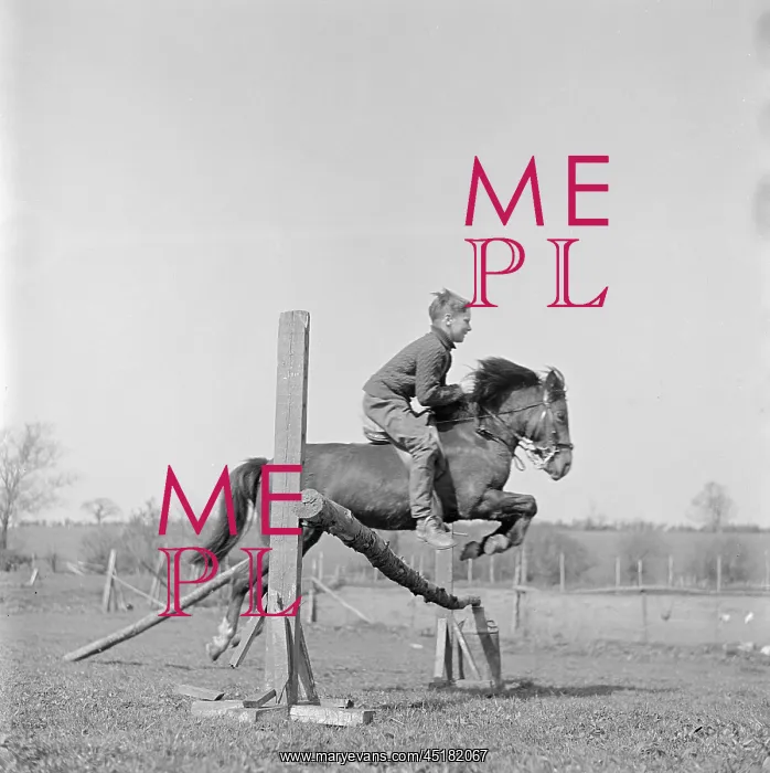 : Boy Showjumping : Boy Showjumping