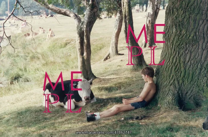 : Boy sits under a tree with a young cow : Boy sits under a tree with a young cow