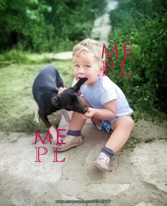 : Boy Sitting on Ground Biting Ear of Puppy Dog : Boy Sitting on Ground Biting Ear of Puppy Dog