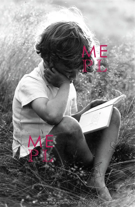 : Boy sitting in sunlit long grass reading : Boy sitting in sunlit long grass reading
