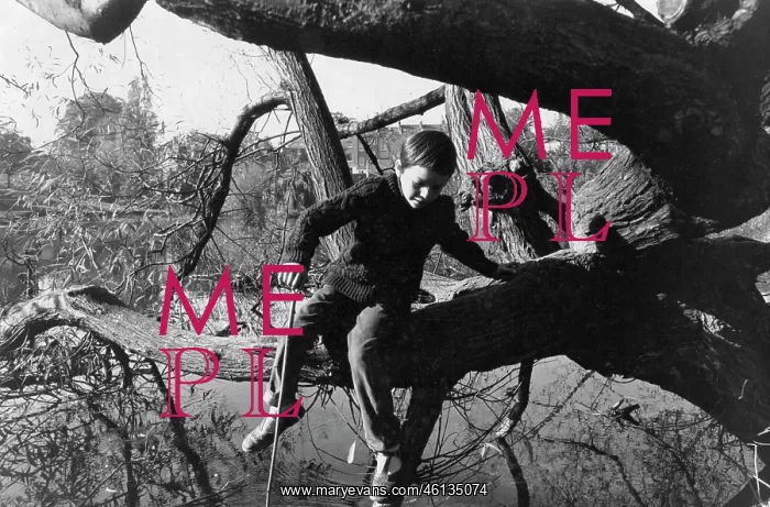 : Boy sitting in a tree by the waterside : Boy sitting in a tree by the waterside
