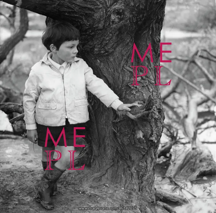 : Boy standing by a tree trunk : Boy standing by a tree trunk