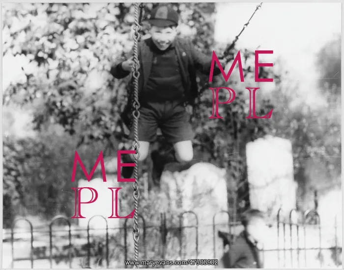  : BOY ON A SWING