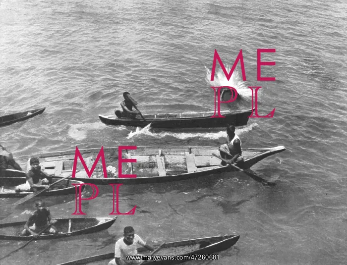 : BOY TAKEN BY SHARK / 1901 : BOY TAKEN BY SHARK / 1901
