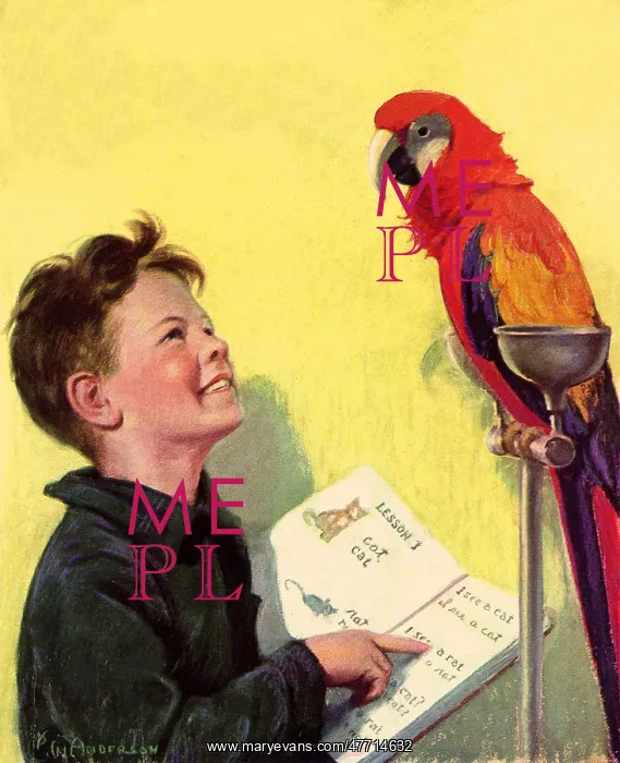  : Boy Teaching Parrot