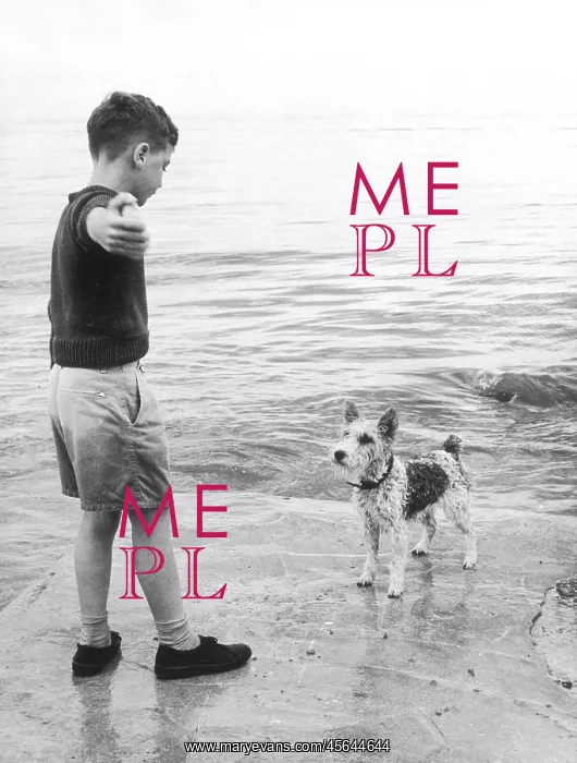  : BOY THROWING FOR DOG