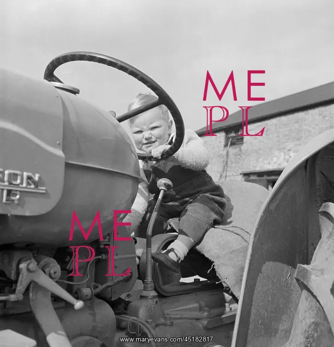 : Boy On A Tractor : Boy On A Tractor