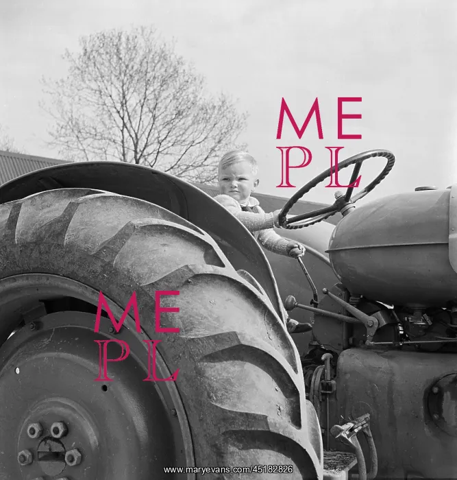 : Boy On A Tractor : Boy On A Tractor