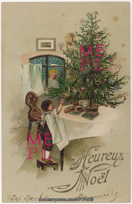: Boy and Tree : Boy and Tree