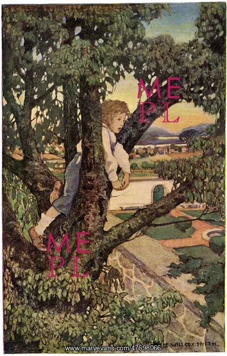 : Boy in a Tree : Boy in a Tree