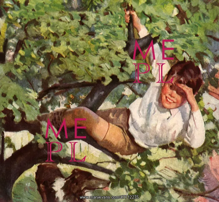  : Boy in a Tree