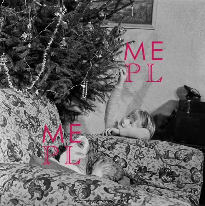 : Boy waiting for Christmas : Boy waiting for Christmas