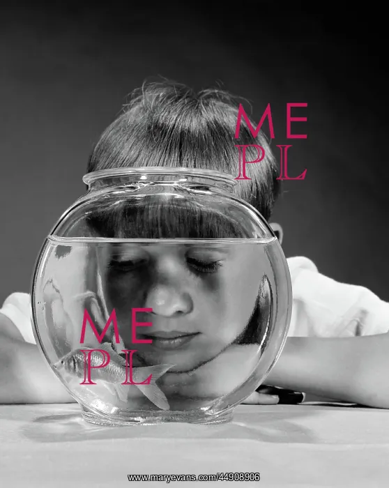 : Boy watching goldfish swim in bowl studio : Boy watching goldfish swim in bowl studio