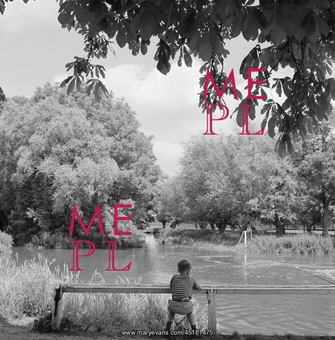 : Boy Watching River : Boy Watching River