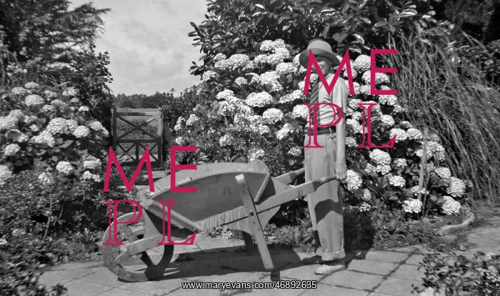 : Boy and wheelbarrow in a garden : Boy and wheelbarrow in a garden