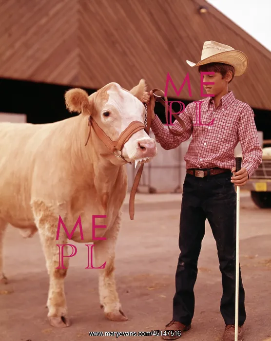 : Boy And His Winning Bull : Boy And His Winning Bull