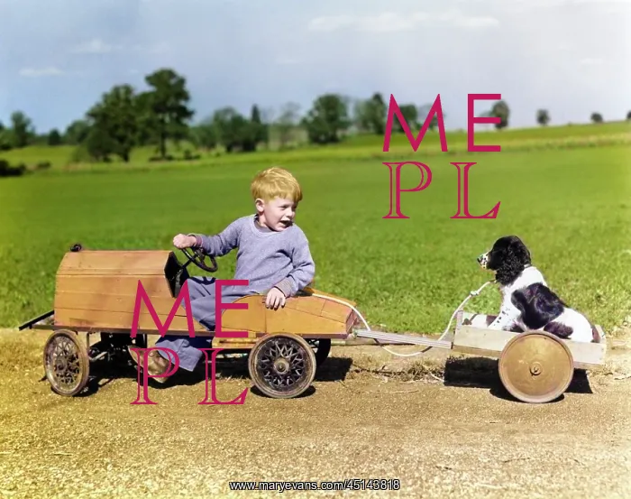 : Boy in Wooden Toy Car Pulling Dog Behind : Boy in Wooden Toy Car Pulling Dog Behind