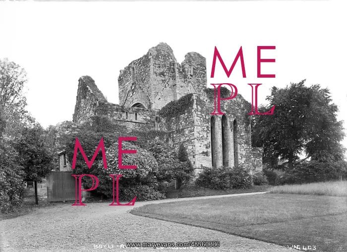 : Boyle Abbey, Co Roscommon : Boyle Abbey, Co Roscommon