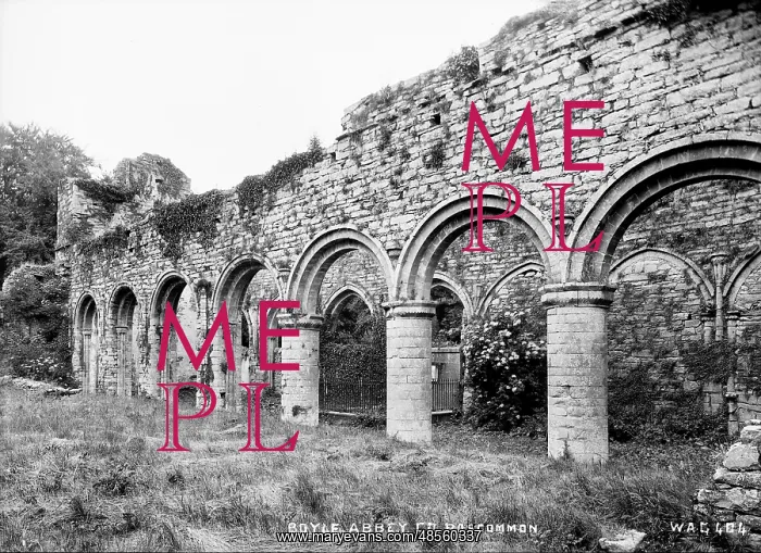 : Boyle Abbey, Co Roscommon : Boyle Abbey, Co Roscommon
