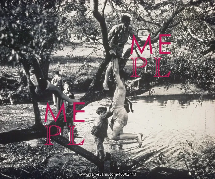 : Boys climbing a tree and paddling : Boys climbing a tree and paddling