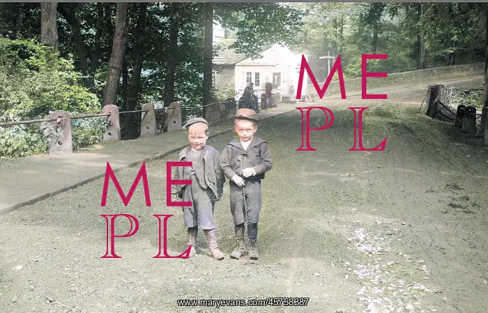 : Two boys on Dan Bank, Marple, Cheshire : Two boys on Dan Bank, Marple, Cheshire