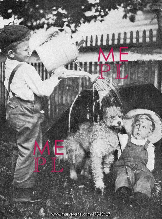 : Two boys and a dog : Two boys and a dog