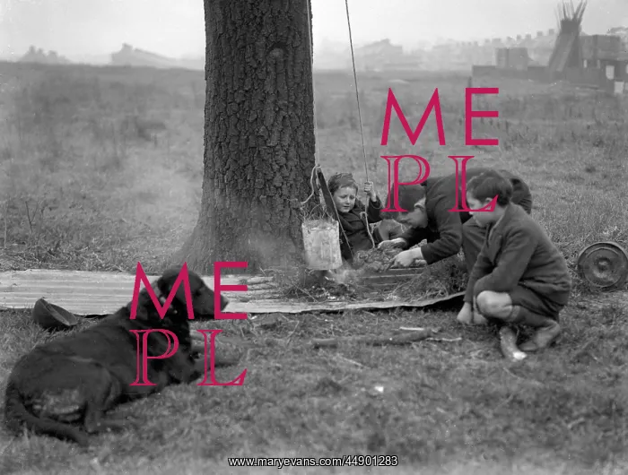 : Three boys and a dog on wasteland : Three boys and a dog on wasteland