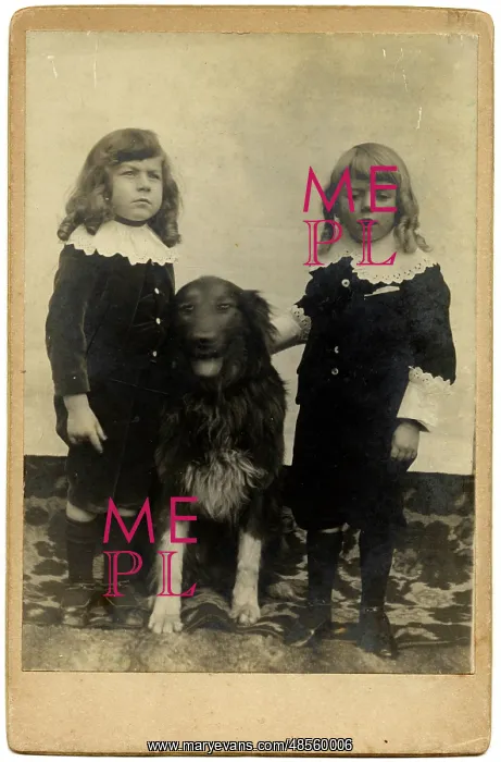  : Two boys with a large dog