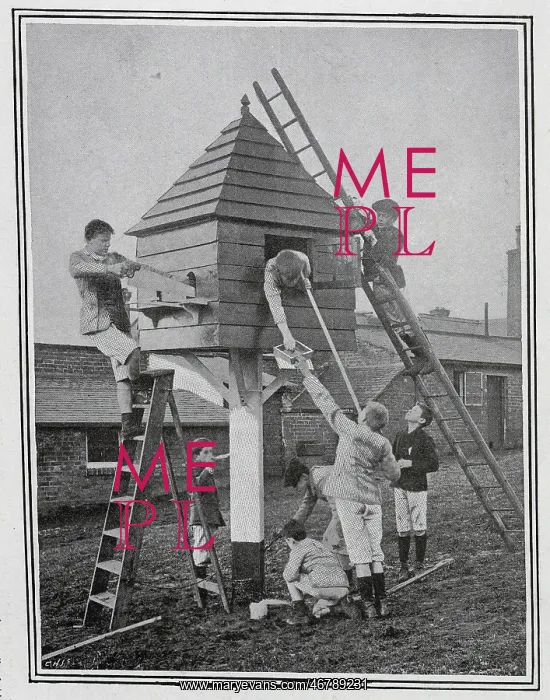 : Boys making a pigeon loft : Boys making a pigeon loft