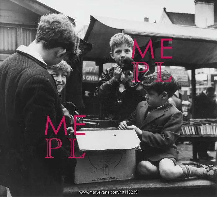 : Boys at an open air book stall : Boys at an open air book stall