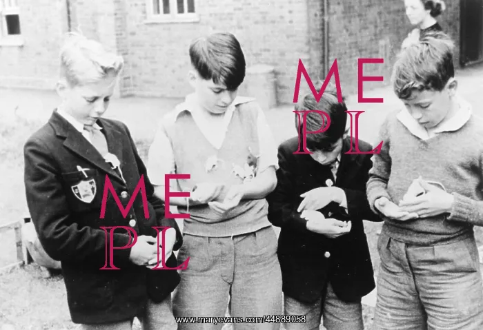 : Boys with pet mice : Boys with pet mice