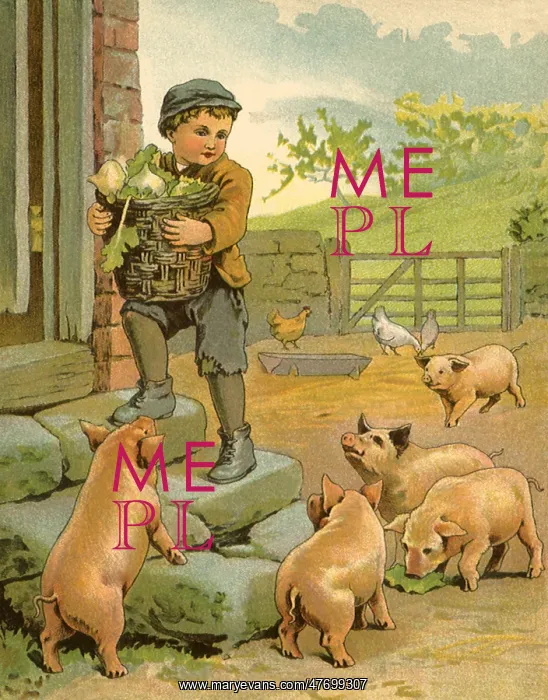  : Boys and Pigs