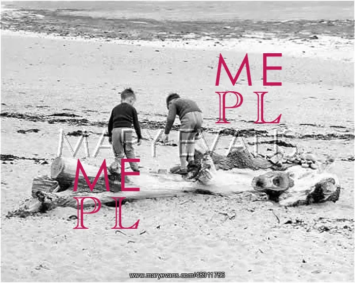 : BOYS PLAY ON A BEACH : BOYS PLAY ON A BEACH