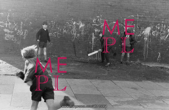  : Boys playing cricket in a street