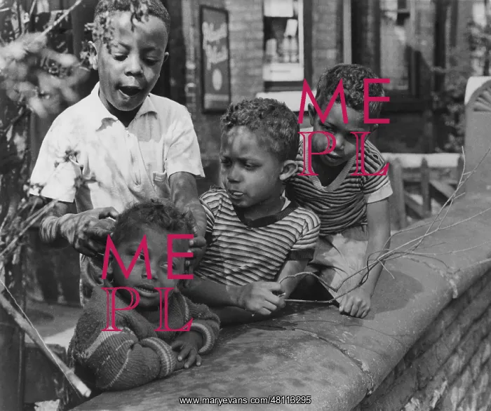: Four boys playing in a front garden : Four boys playing in a front garden