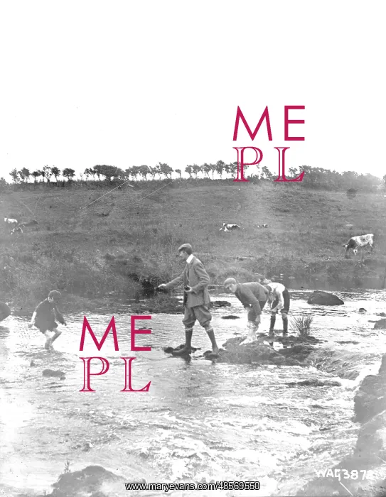 : Boys playing in the shallows of the River Bush : Boys playing in the shallows of the River Bush