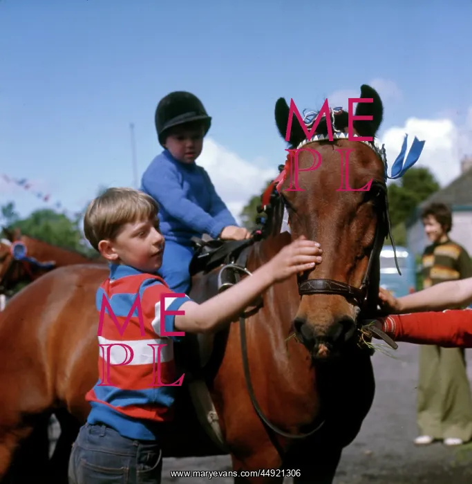  : Boys with a pony at a street party