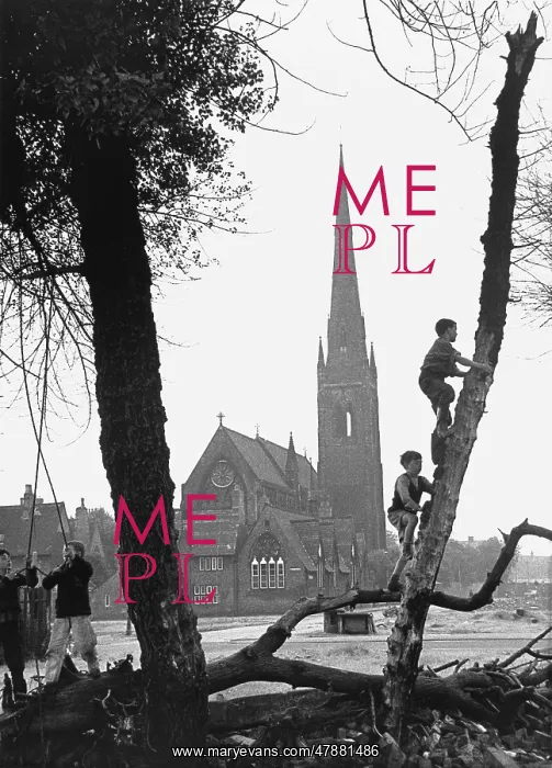 : Boys swing on and climb trees in Manchester : Boys swing on and climb trees in Manchester