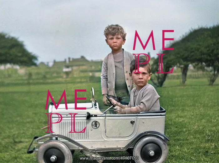 : Two boys with toy car in a field : Two boys with toy car in a field