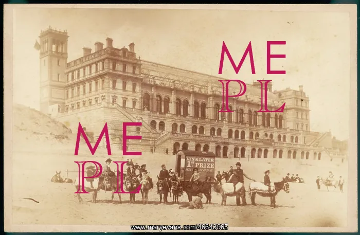 : BOYS / TOYS 1880S : BOYS / TOYS 1880S