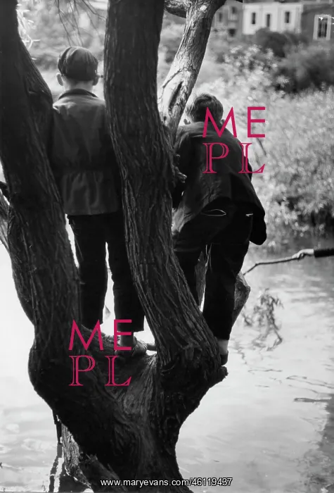: Two boys in a tree overhanging a pond : Two boys in a tree overhanging a pond