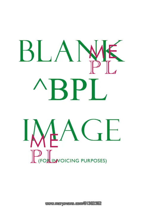  : BPL - Placeholder Image for Invoicing purposes