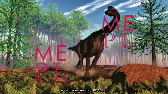 : Brachiosaurus dinosaur amongst an Araucaria forest : Brachiosaurus dinosaur amongst an Araucaria forest